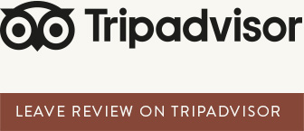 Tripadvisor Review
