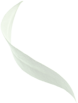 Maslina olive